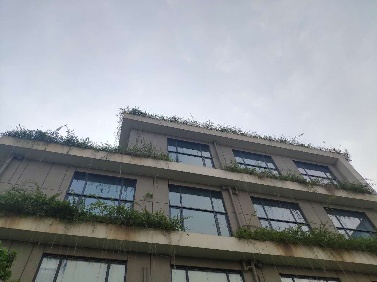 開源園林蘿崗外墻綠化實景案例欣賞